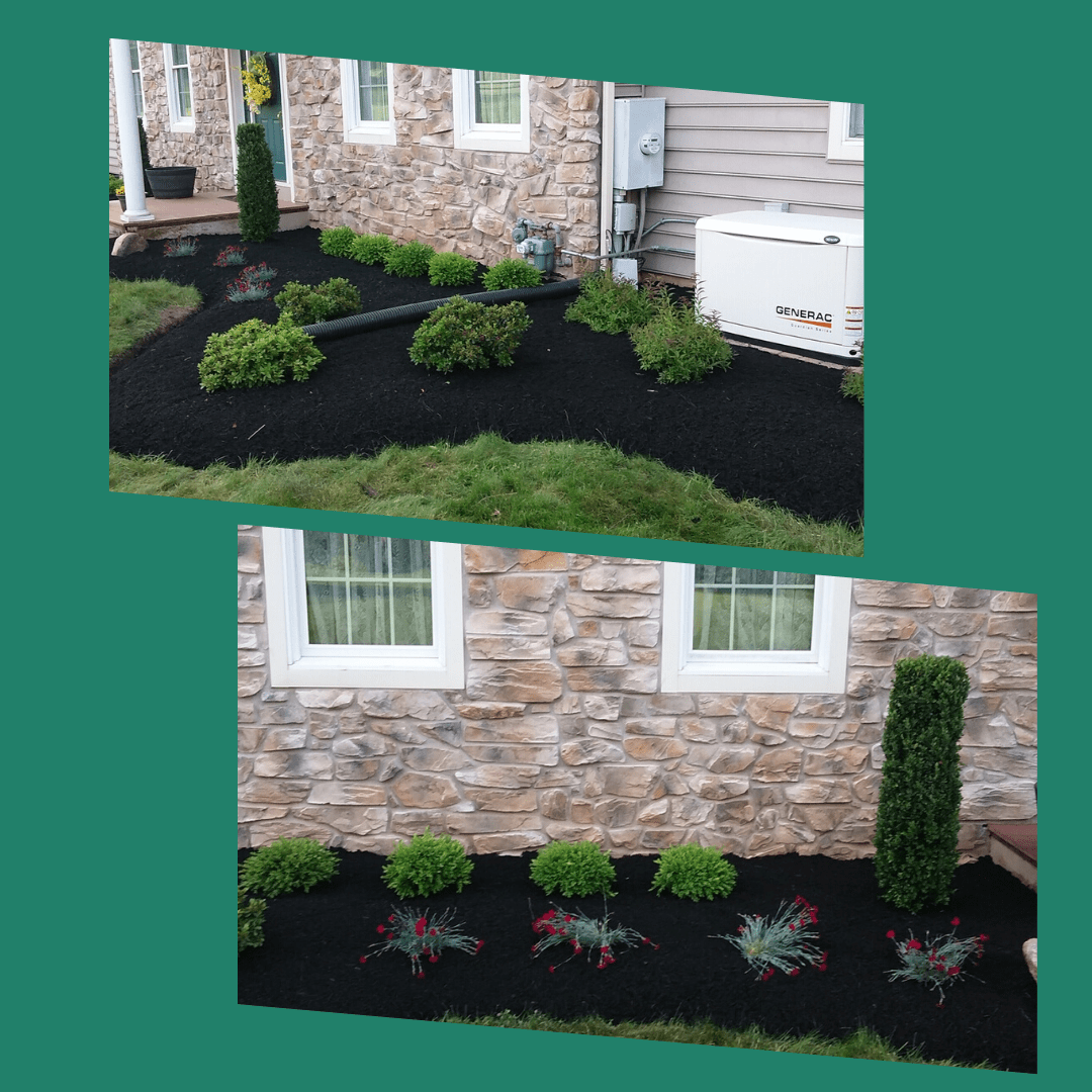 Skrot Lanscaping does beautiful planting and bed clean up